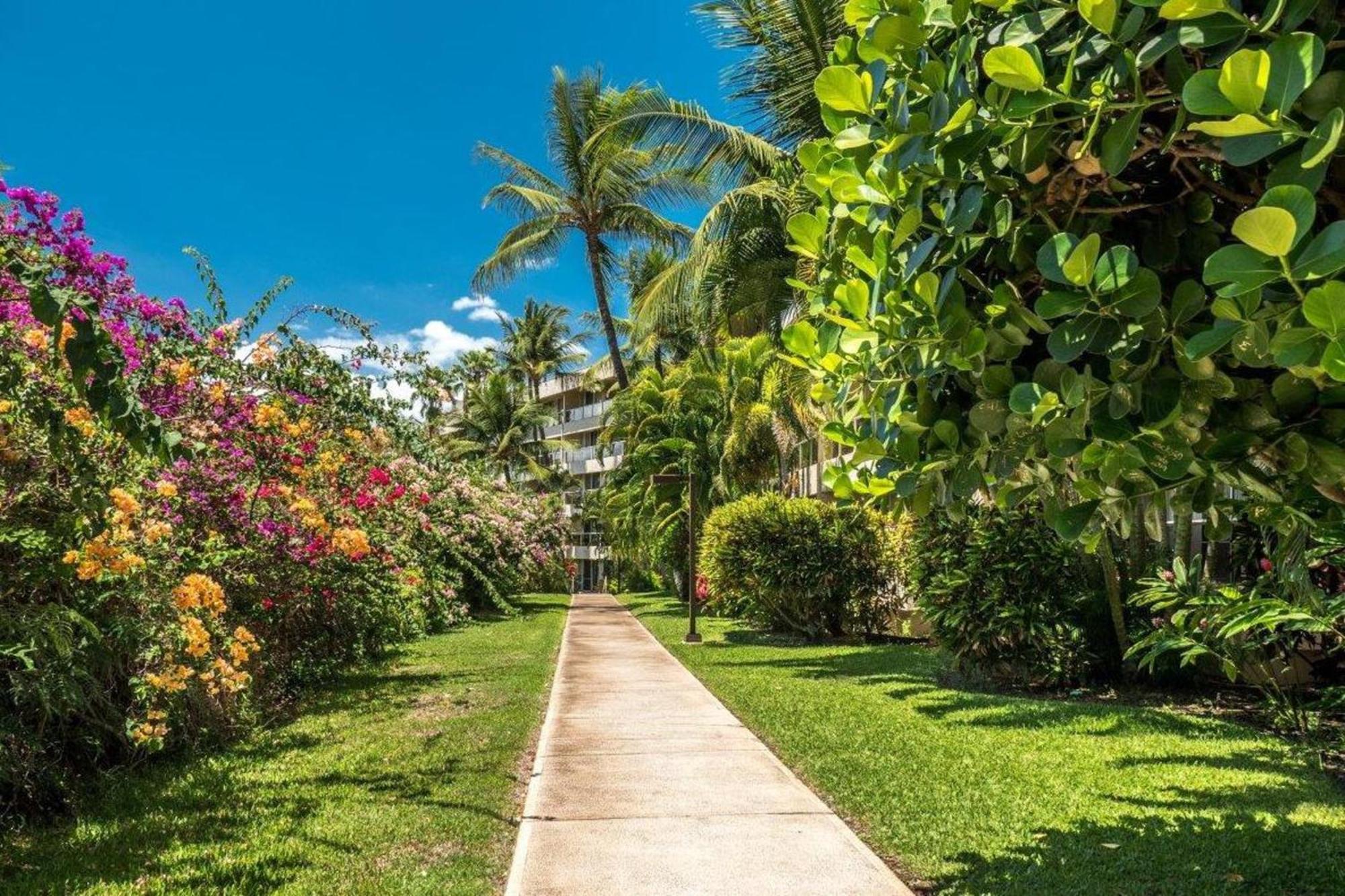 Villa Maui Banyan à Wailea  Chambre photo